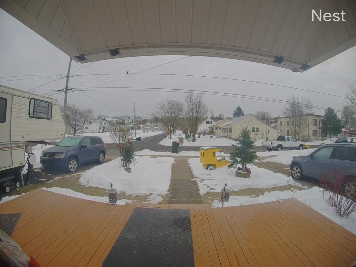 Seagull Gets Wing Caught on Outdoor Light Decoration