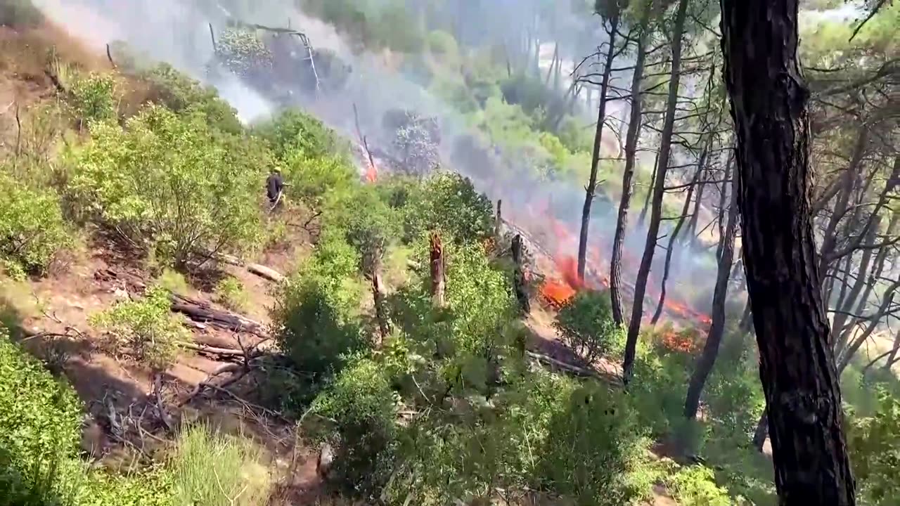 Firefighters still battling wildfires in coastal Syria