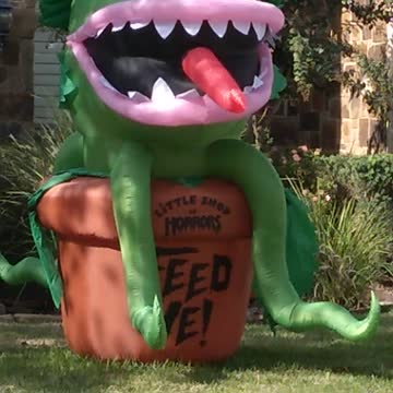 Feed me little shop of horrors