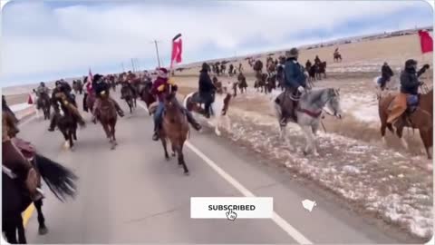 Horses in Ottawa To Support our Truckers