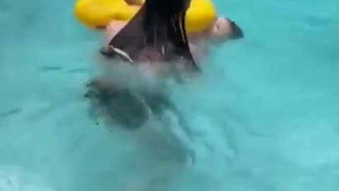 Baby does a backflip into a pool!