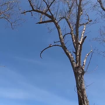 Queens beach Nin Croatia (Island of Nin part 4) #Shorts