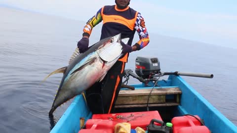 Traditional And Innovative Fishing Methods And Techniques For Catching Bluefin Tuna