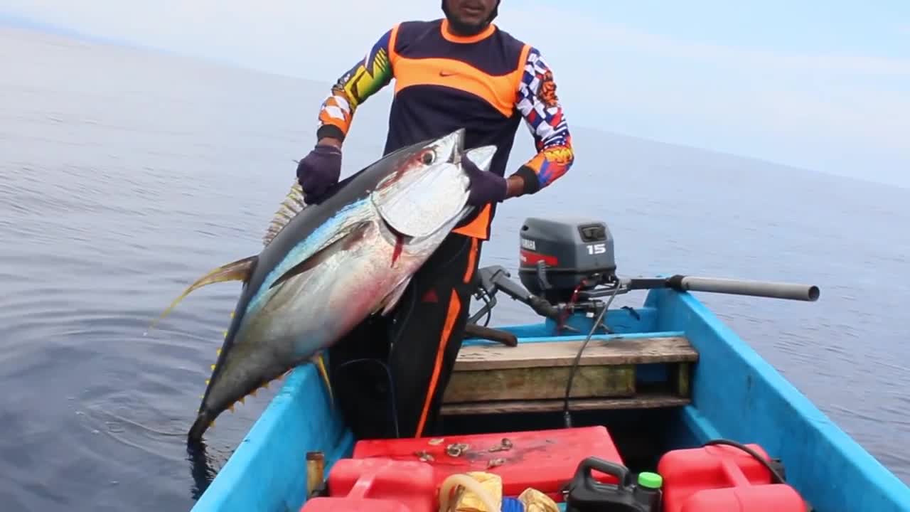 Traditional And Innovative Fishing Methods And Techniques For Catching Bluefin Tuna