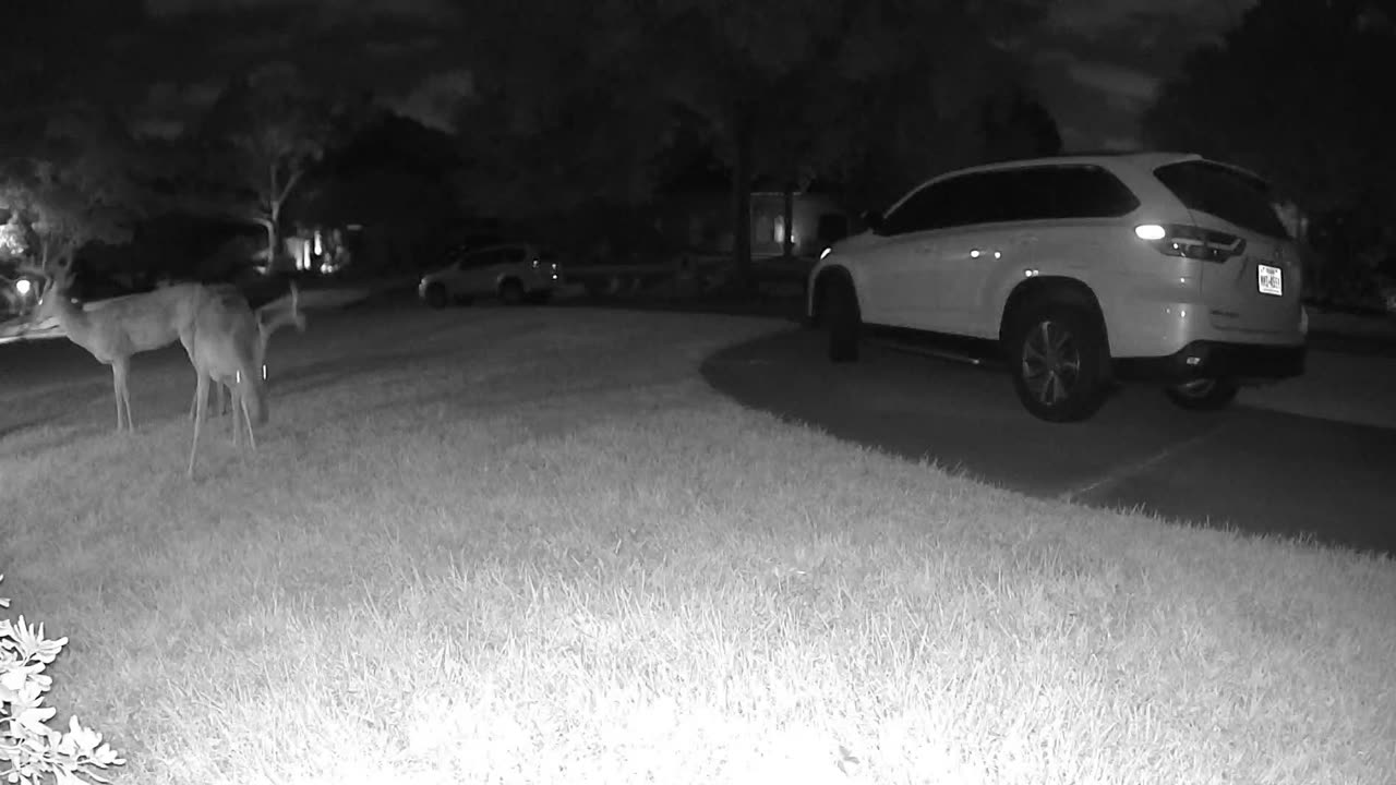 2 Bucks August 11, 2023 2341