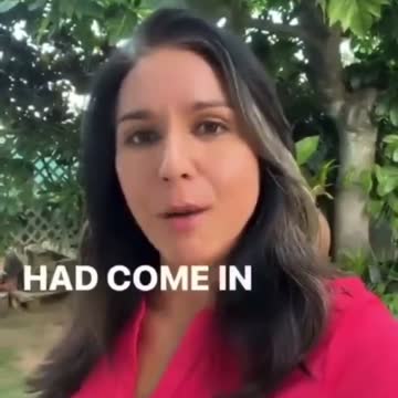 Tulsi Gabbard: "Ukraine isn't actually a democracy