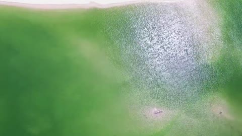 lake by drone