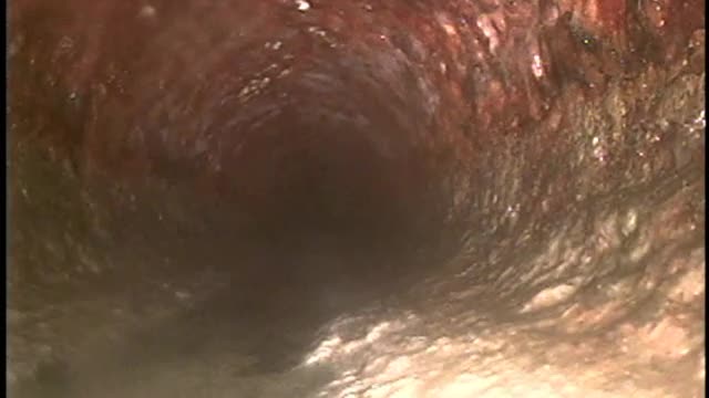 Principato 16 Evergreen Ln Watchung Sewer camera