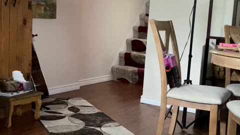 Qua(lity)rantine Time in the Healing Home