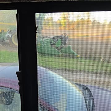 Soybean harvesting John Deere