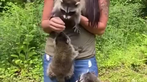 Best shorts Viral ANIMAL Videos on the funny video animal's ||