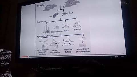 Spike protein=rapid aging