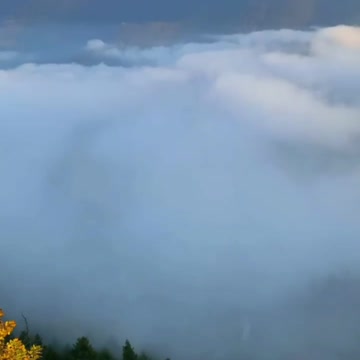 Cloud, jungle: do you love it???