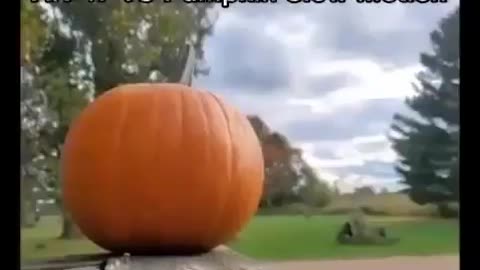 Ak vs pumpkin