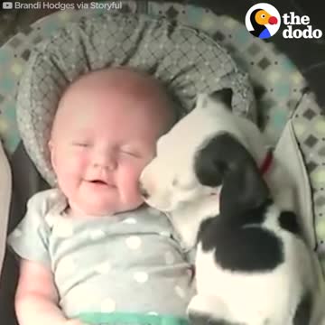 Kids Growing Up With Dogs