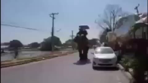 Elephant slap a man with his tail