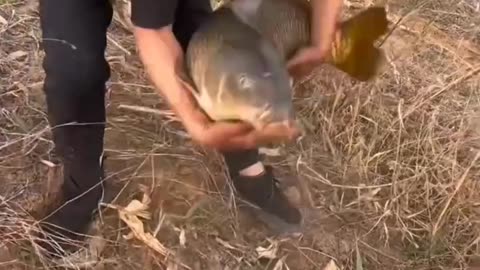 Fishing video