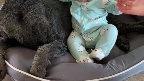 Dog Doesn't Like Easter Outfit As Much As Infant