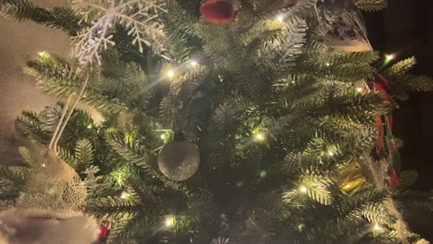 A Christmas tree that shines in many colors, close-up