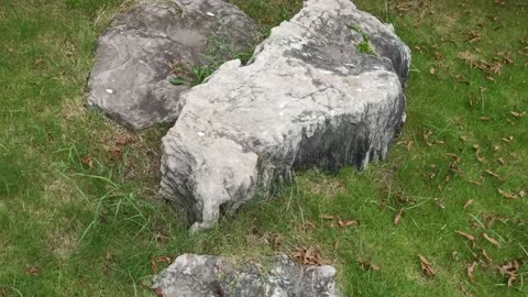 What does this stone look like?