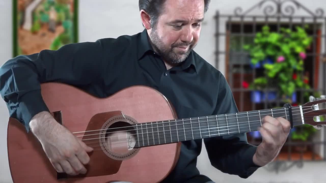 ¡Rasgueados Lo Que Debes Saber! |Técnicas de Guitarra Flamenca | Los Rasgueos