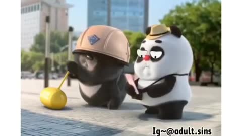 Little panda cute panda baby Tomey funny and very Cute