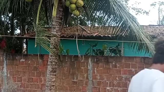 Empresario intereceiro