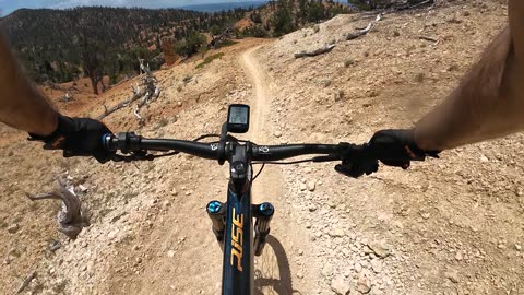 Thunder Mountain Trail Top