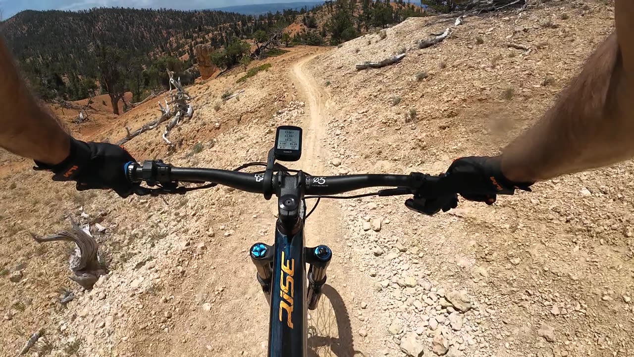 Thunder Mountain Trail Top