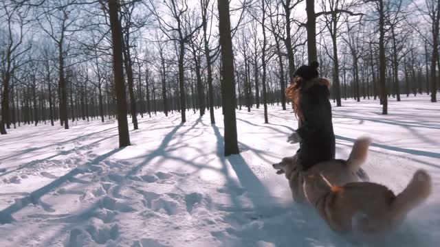 young woman running with siberian husky dogs in show forest