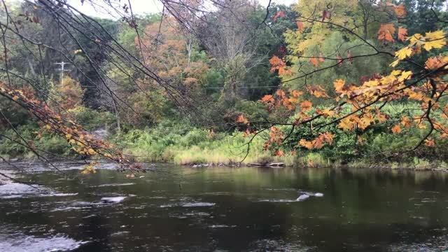 A view of a river