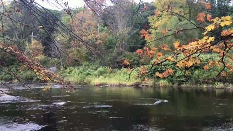 A view of a river