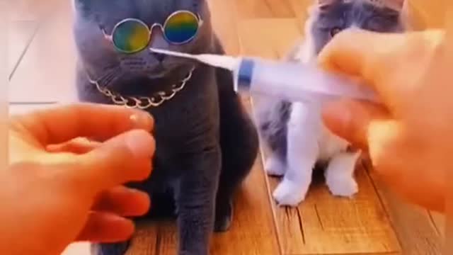[Funny Collection] Season 11, this tastes so good, so enjoy!