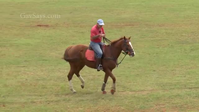 Stringhalt, Assessment & NOW the Rollback & Spin - Horse Training Lessons