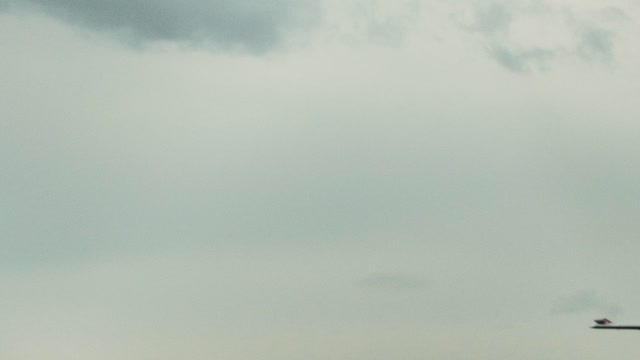 Sleepless Aloha - Song By Reed Mathis