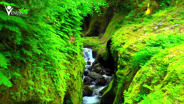 Takachiho Valley - 高千穂峡 - Japan