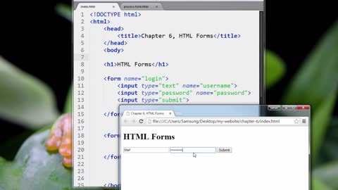 HTML5_PRO_ch6-02-forms-part-2-0617 (720p)