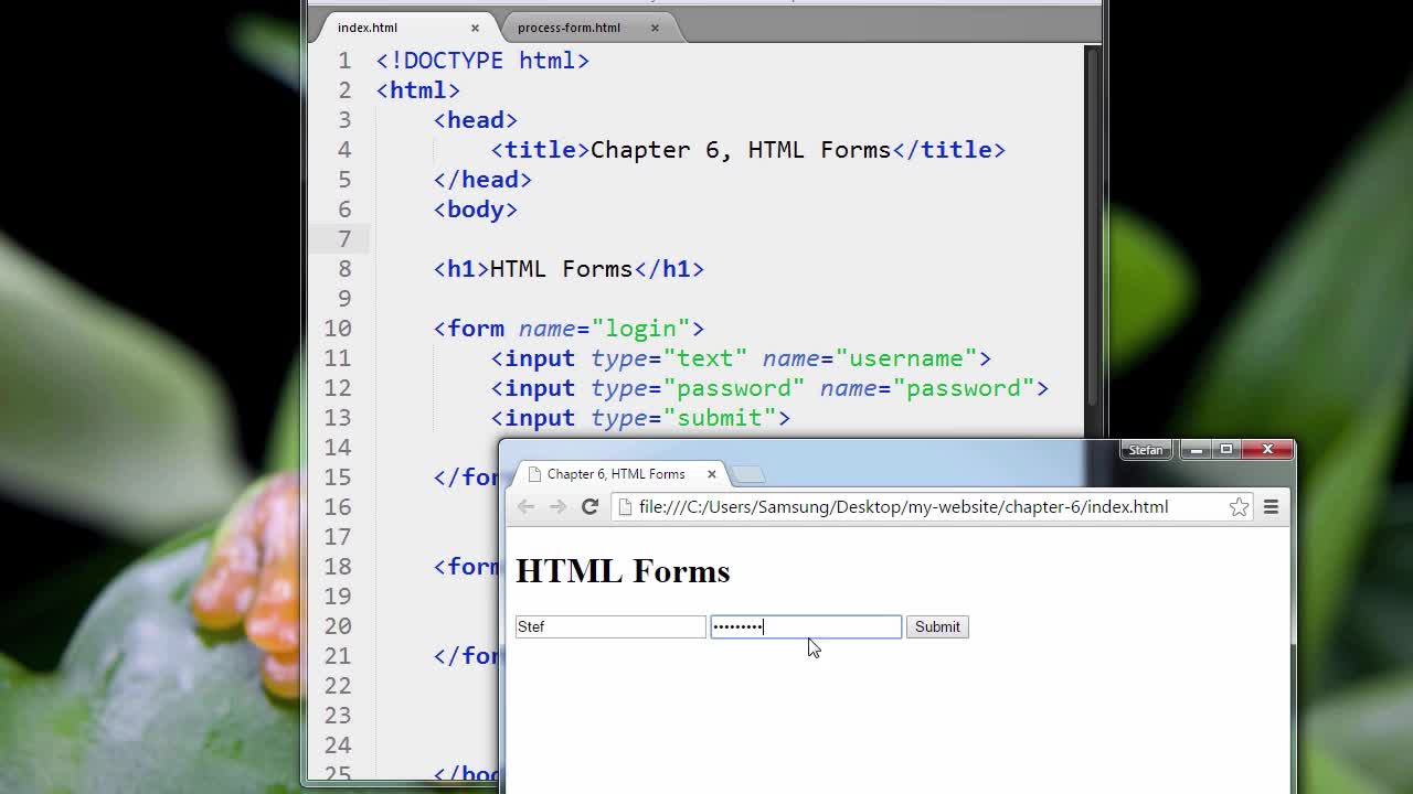 HTML5_PRO_ch6-02-forms-part-2-0617 (720p)