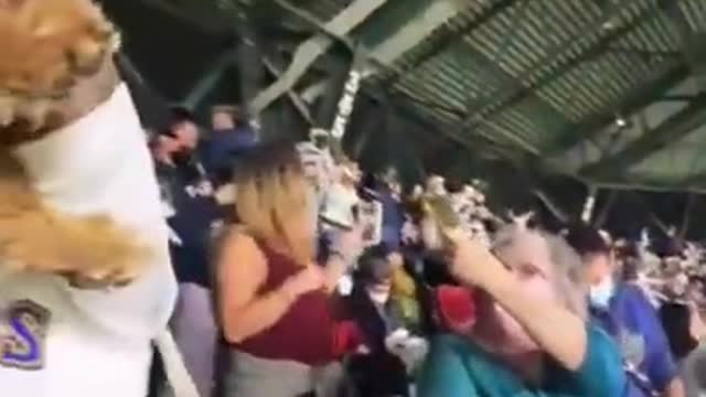 Simba Cam • Bark In The Park • Seattle Mariners [Dog owners recreate Iconic Simba and Raifiki Scene]