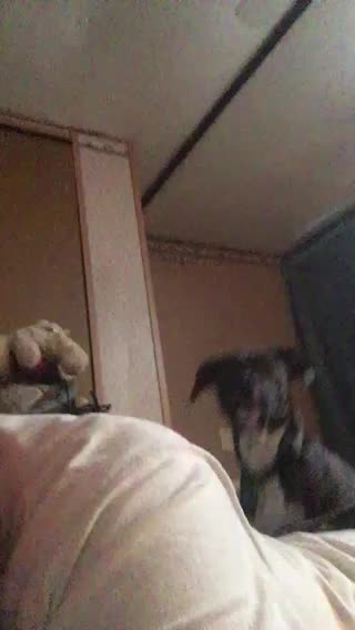 Bout done with training