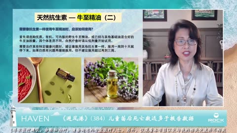 後援-避風港384
