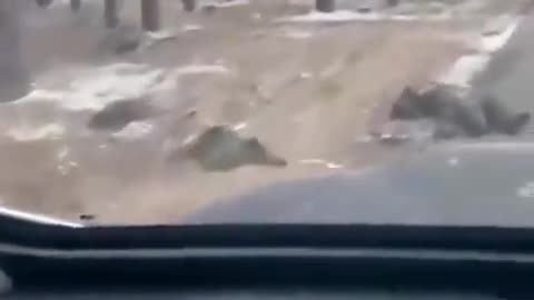 Ukraine War - Dead Russian Soldiers on the Streets