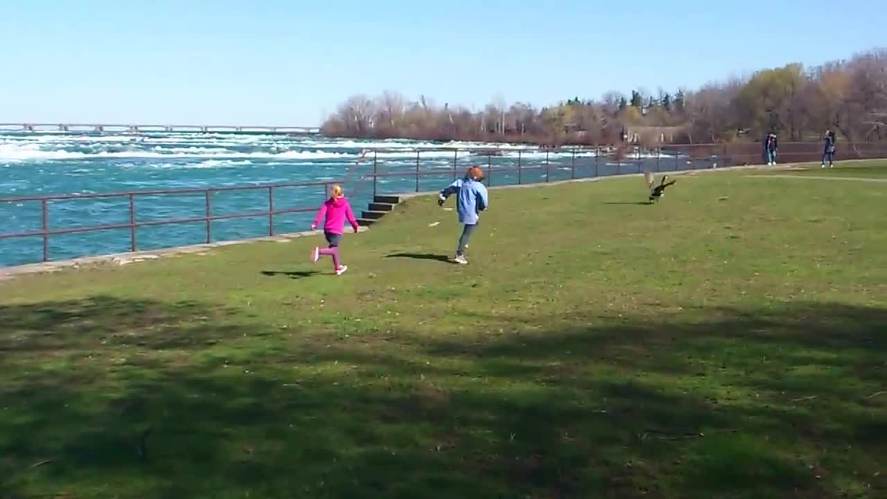 Chasing the goose in Niagara Falls