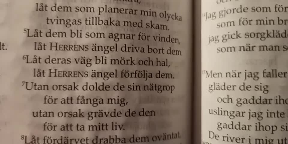 Psalm 35. Oskyldigt anklagad.
