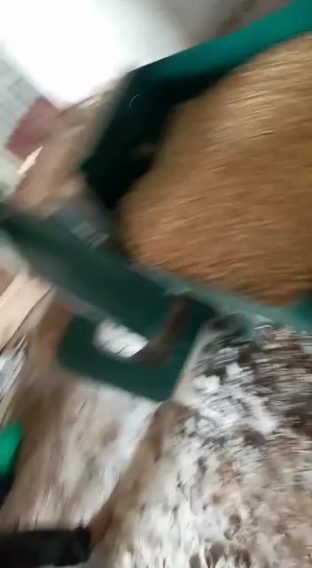 Maize Mill Uganda 3 2022-01-25