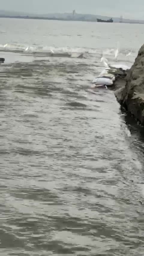 Canal artesanal de El Laguito