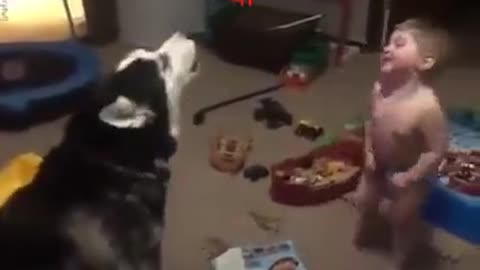 cute funny baby and dogs