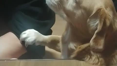 Give it to me..:(