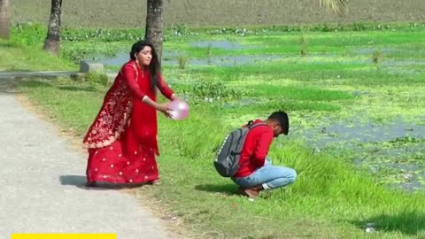 Funny videos