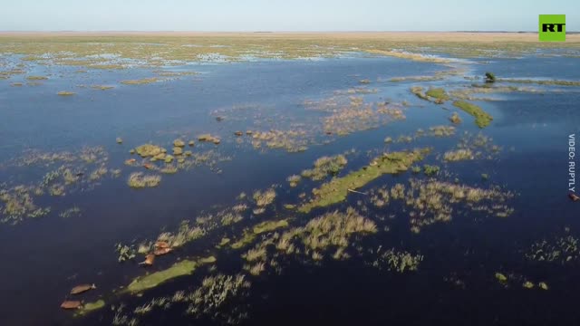 RT. WARNING: DISTRESSING: Flooding replaces wildfires in Corrientes, killing cattle